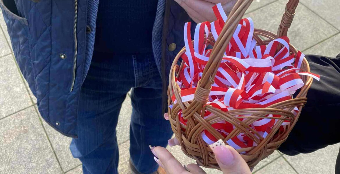 0e191b5b-5f35-4775-b1a8-dcaf0d9f05fd