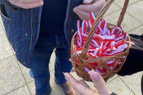 0e191b5b-5f35-4775-b1a8-dcaf0d9f05fd