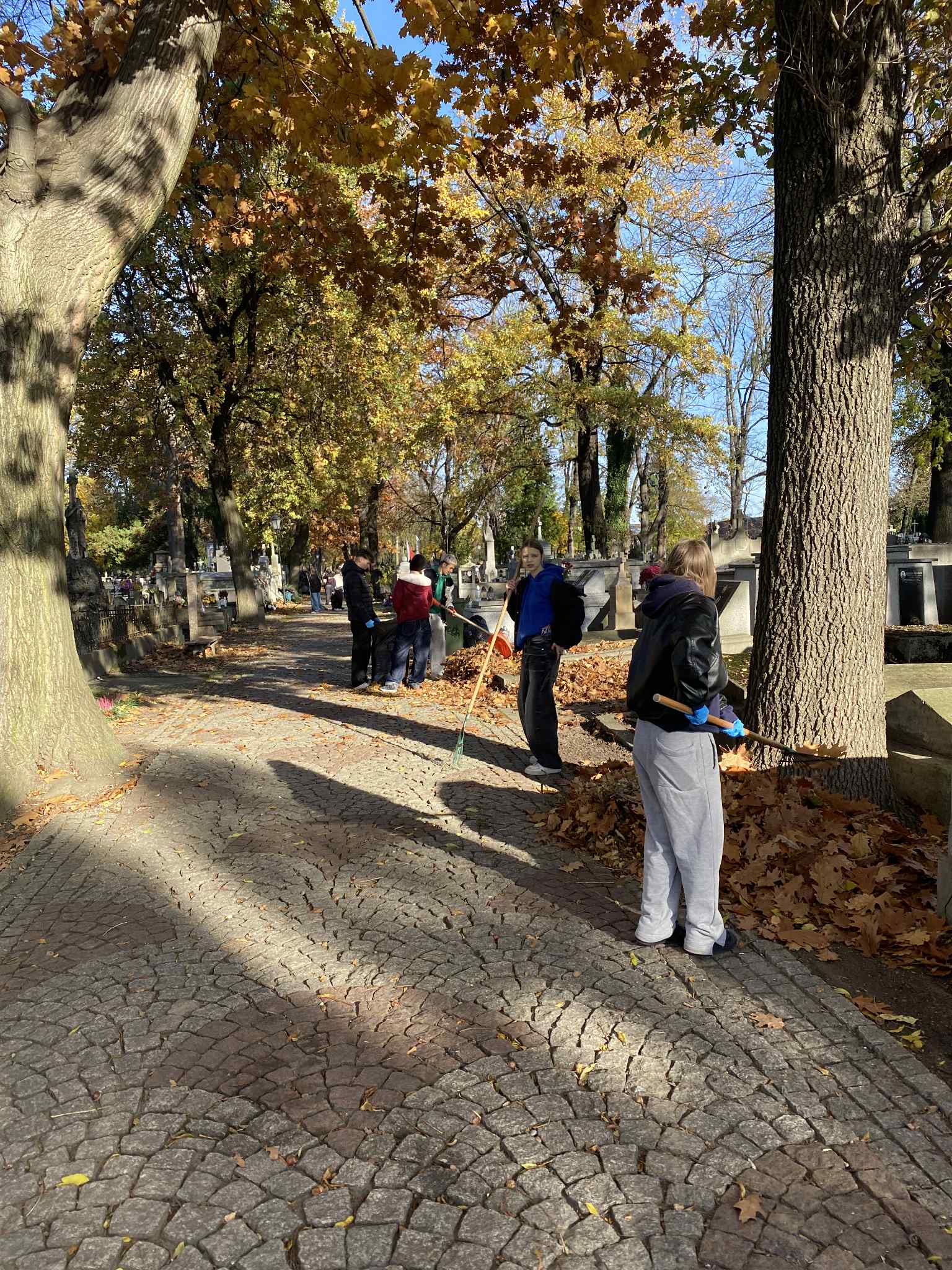 1cd5db41-d660-469b-9b3d-e57bb8429bcb