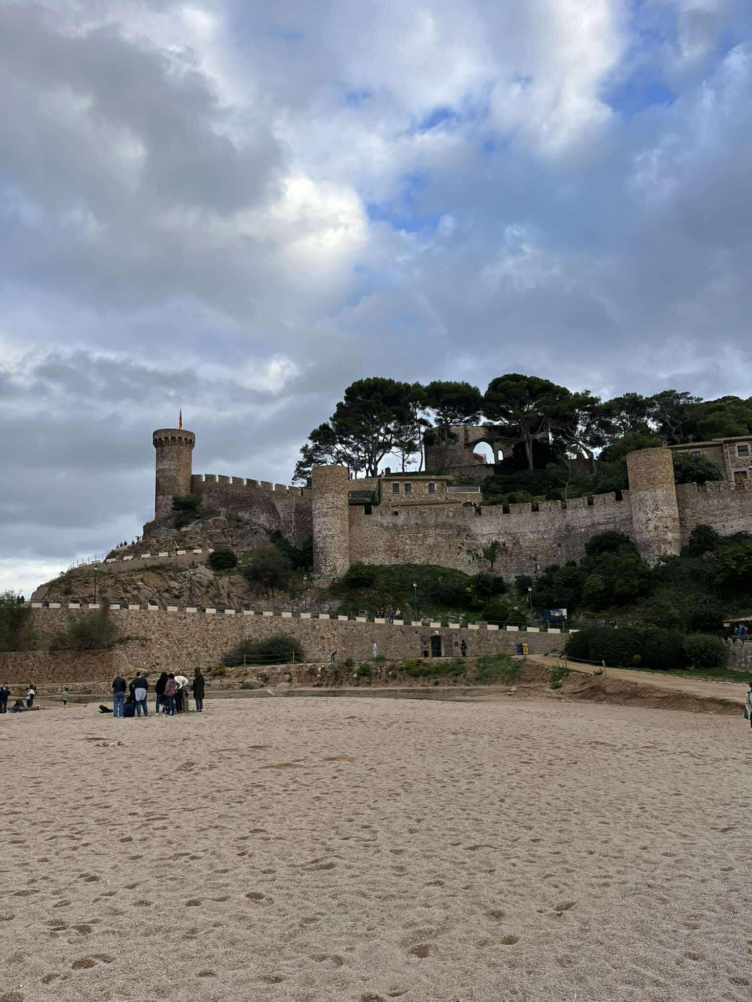 1d87e336-9086-4b7b-8cbc-4622ff31984e