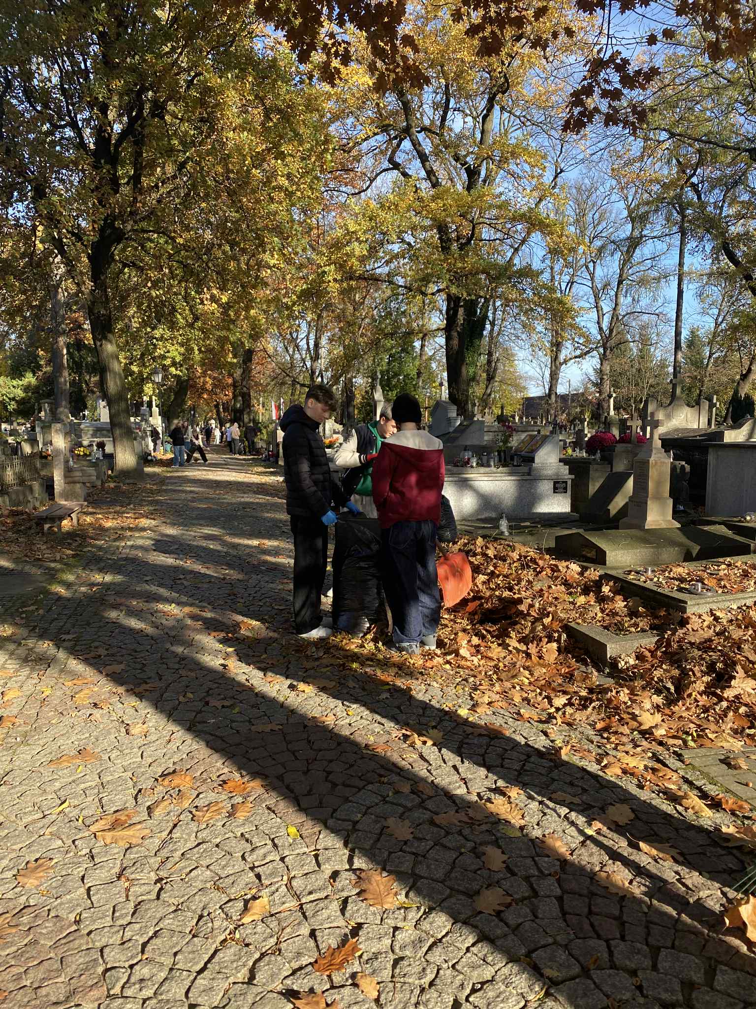 6d92f053-8bf7-49ca-a672-3aaf081bab1d