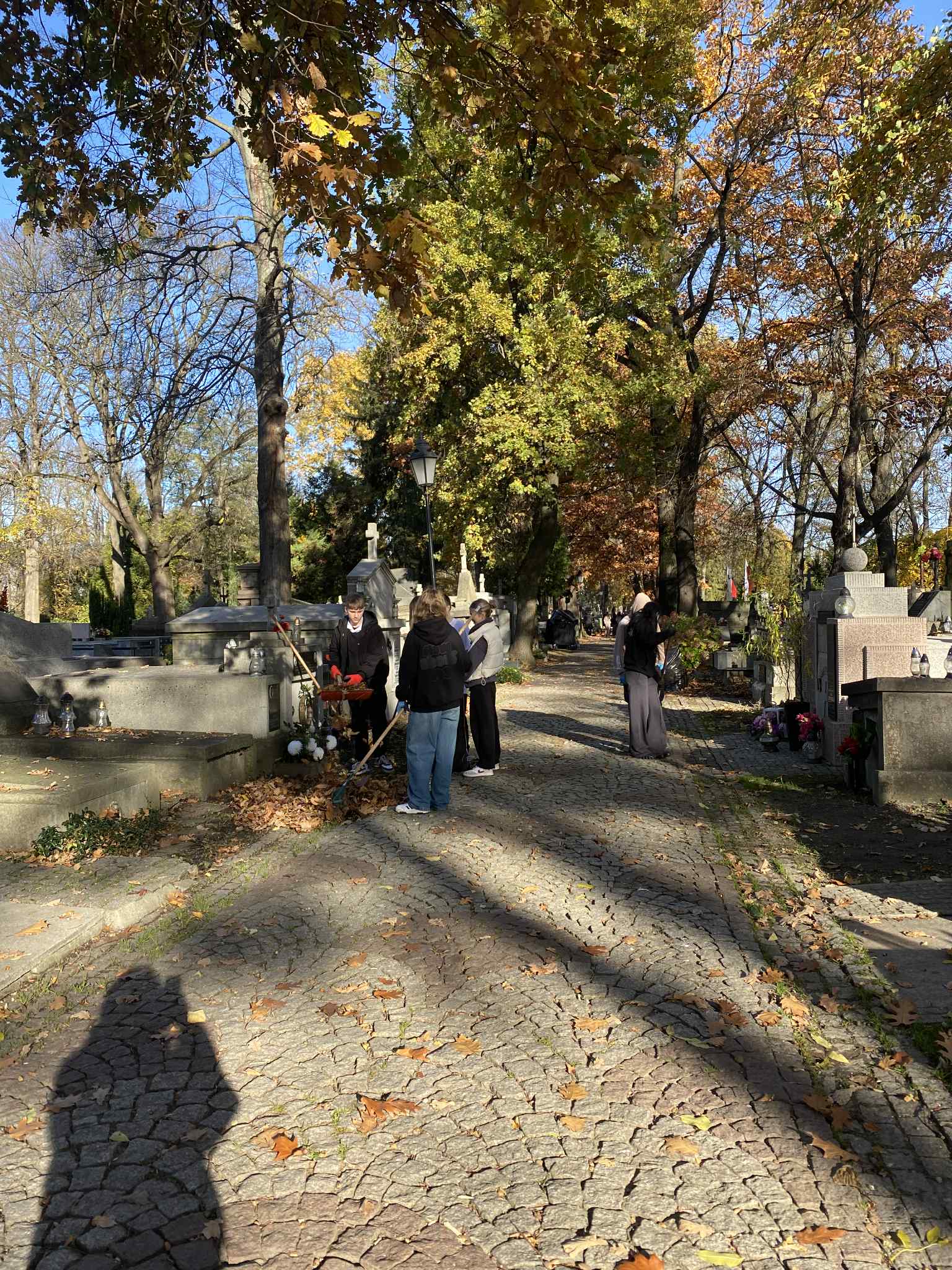 b244bc02-2440-4227-8d31-8f3d16bd07ee