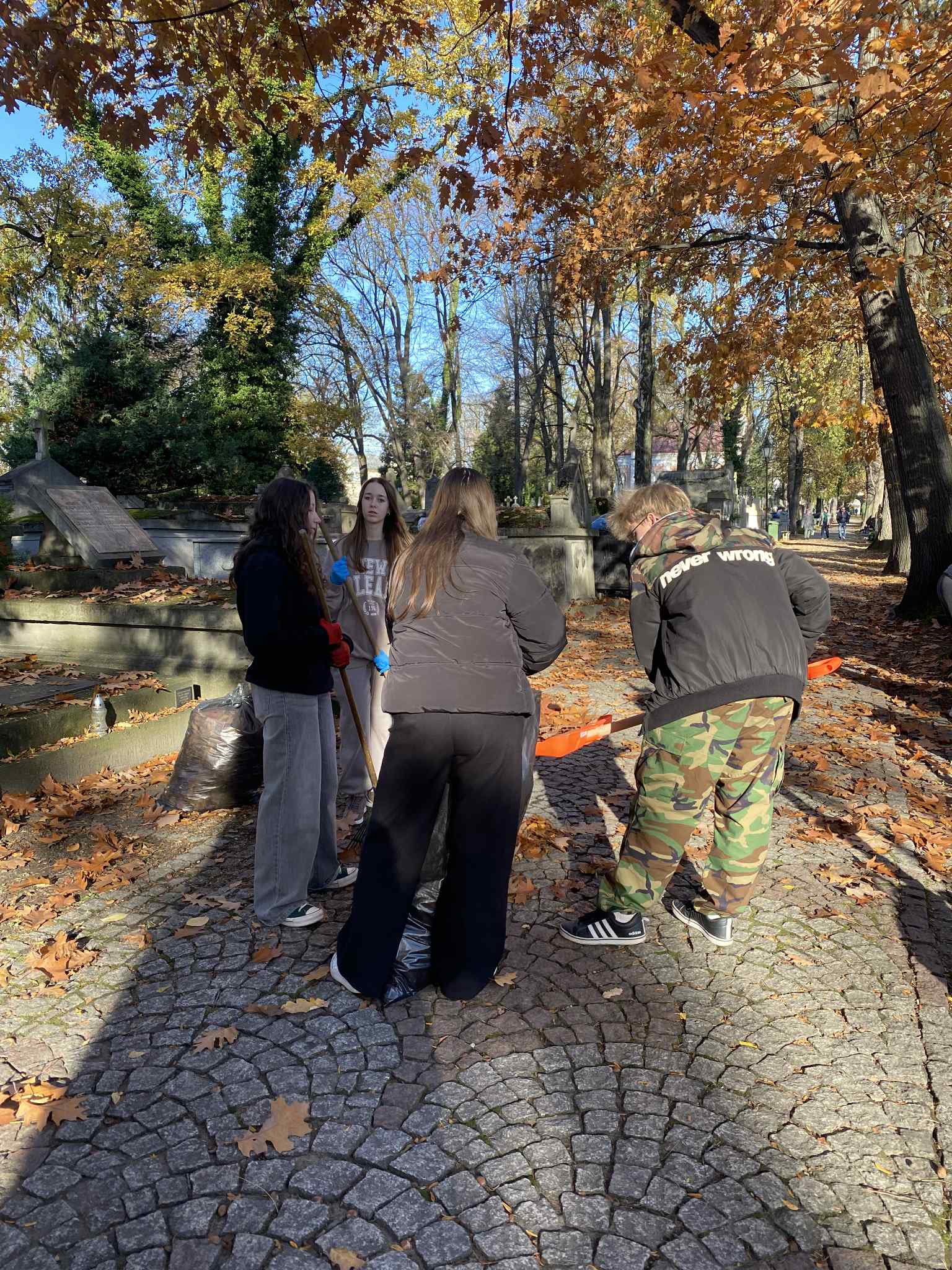 bbe53d9e-4409-411b-980e-df4c22365832